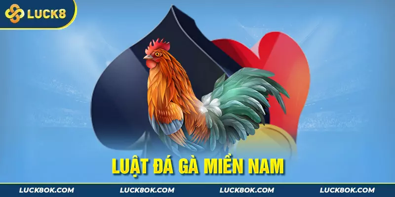 Luật đá gà miền Nam chắc ăn nhất 