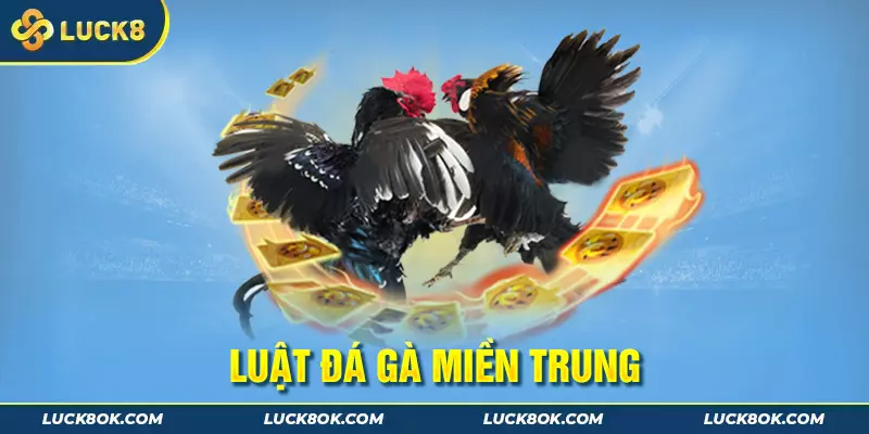 Quy luật chơi chọi gà miền Trung siêu dễ